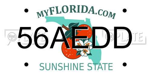 56AEDD Florida License Plate