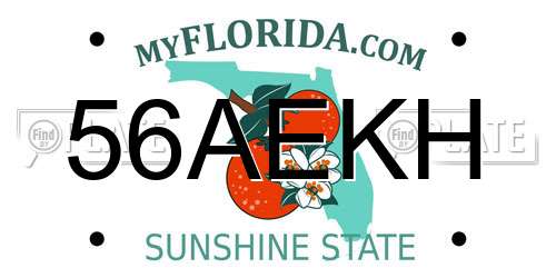56AEKH Florida License Plate