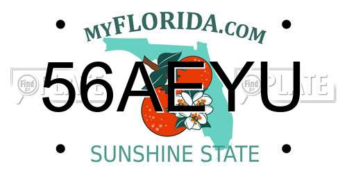 56AEYU Florida License Plate