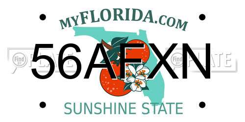 56AFXN Florida License Plate