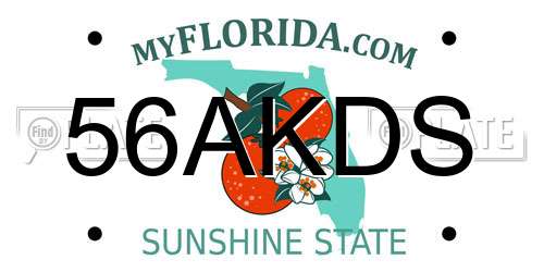 56AKDS Florida License Plate