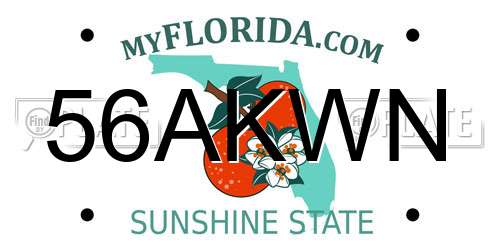 56AKWN Florida License Plate