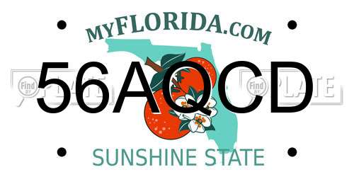 56AQCD Florida License Plate