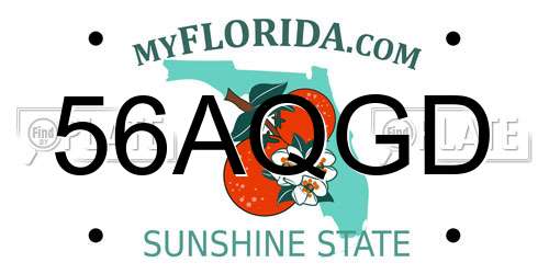 56AQGD Florida License Plate