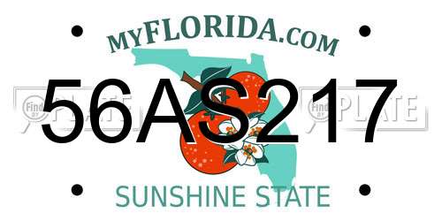 56AS217 Florida License Plate