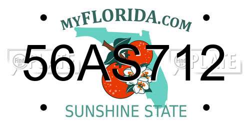 56AS712 Florida License Plate