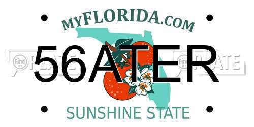 56ATER Florida License Plate