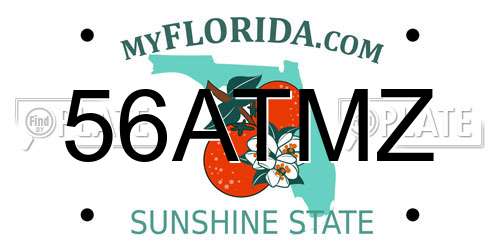 56ATMZ Florida License Plate