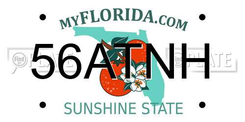 56ATNH Florida License Plate