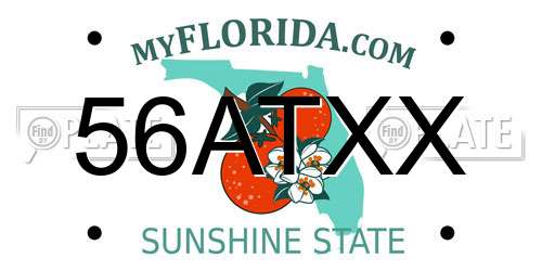 56ATXX Florida License Plate