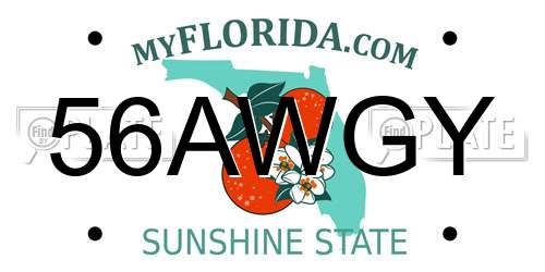 56AWGY Florida License Plate