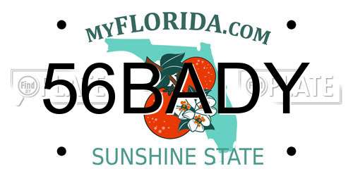 56BADY Florida License Plate