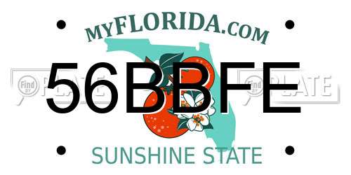 56BBFE Florida License Plate
