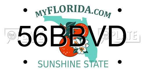 56BBVD Florida License Plate