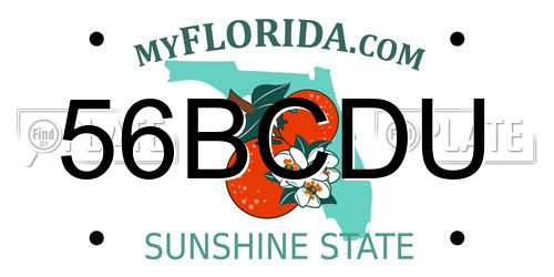 56BCDU Florida License Plate