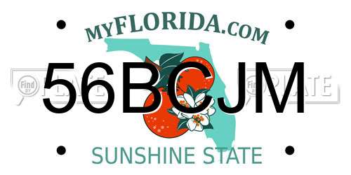 56BCJM Florida License Plate