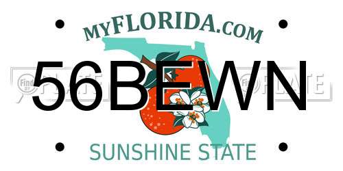 56BEWN Florida License Plate