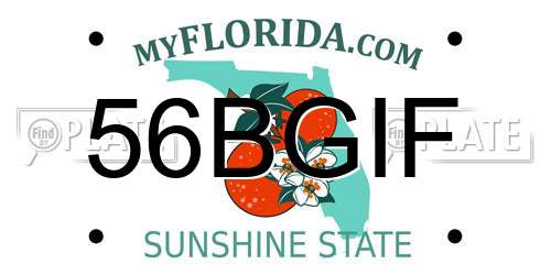 56BGIF Florida License Plate