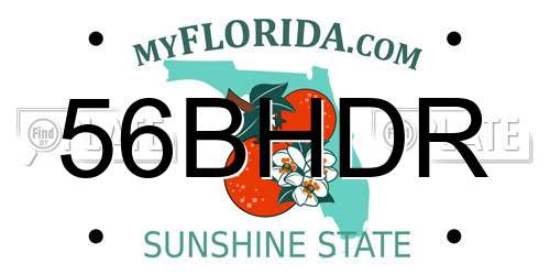 56BHDR Florida License Plate