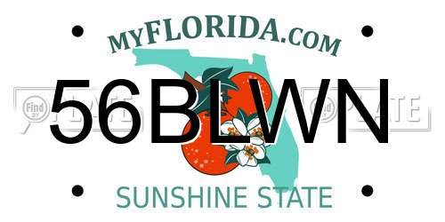 56BLWN Florida License Plate