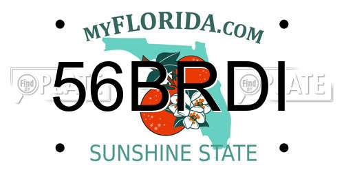 56BRDI Florida License Plate