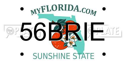 56BRIE Florida License Plate