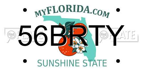 56BRTY Florida License Plate