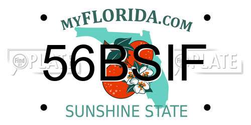 56BSIF Florida License Plate