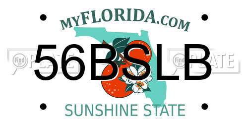 56BSLB Florida License Plate