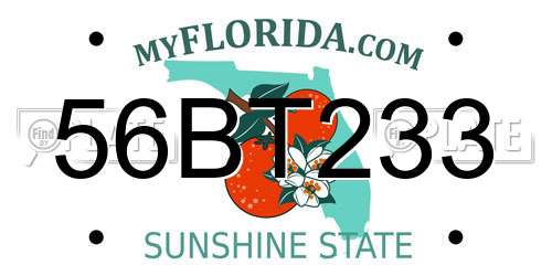 56BT233 Florida License Plate
