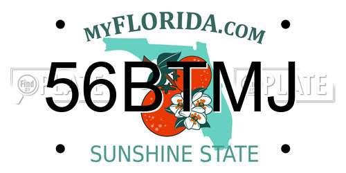 56BTMJ Florida License Plate