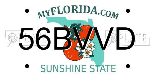 56BVVD Florida License Plate