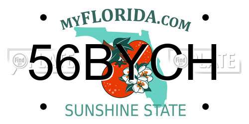 56BYCH Florida License Plate