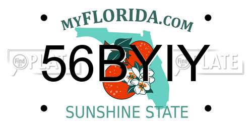 56BYIY Florida License Plate