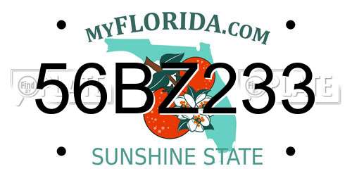 56BZ233 Florida License Plate