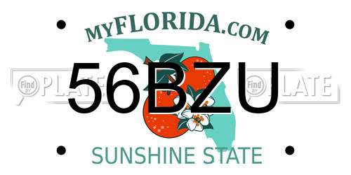 56BZU Florida License Plate