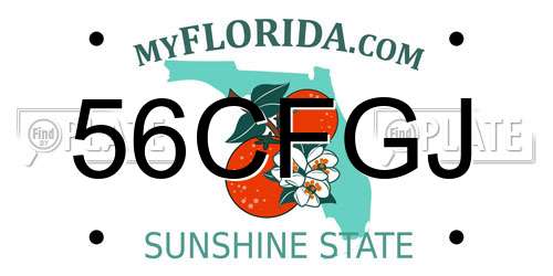 56CFGJ Florida License Plate