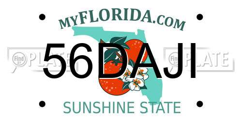 56DAJI Florida License Plate