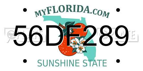 56DF289 Florida License Plate