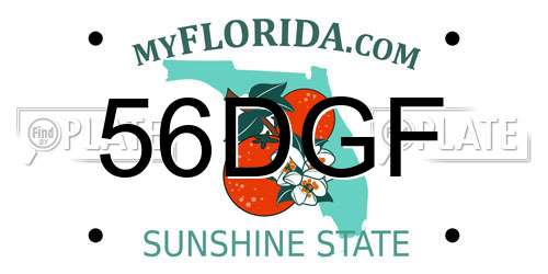 56DGF Florida License Plate