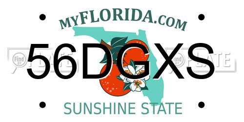 56DGXS Florida License Plate