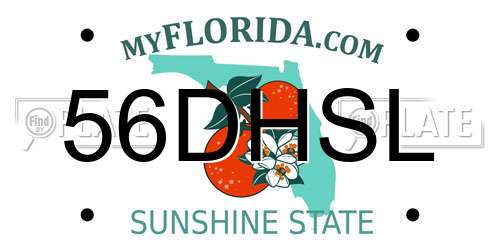 56DHSL Florida License Plate