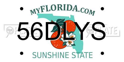 56DLYS Florida License Plate