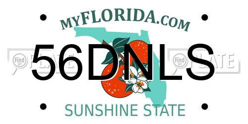 56DNLS Florida License Plate