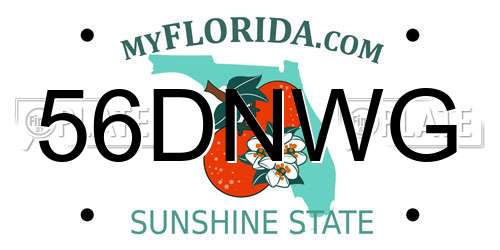 56DNWG Florida License Plate