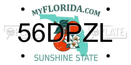 56DPZL Florida License Plate