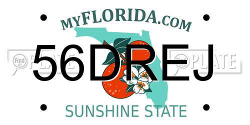 56DREJ Florida License Plate