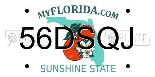 56DSQJ Florida License Plate