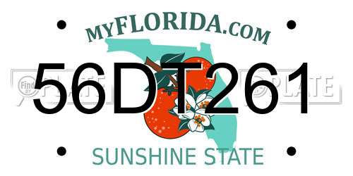56DT261 Florida License Plate