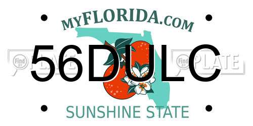 56DULC Florida License Plate